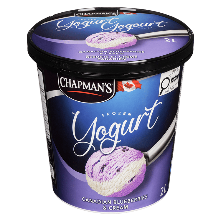 Tub of Canadian Blueberries & Cream Frozen Yogurt