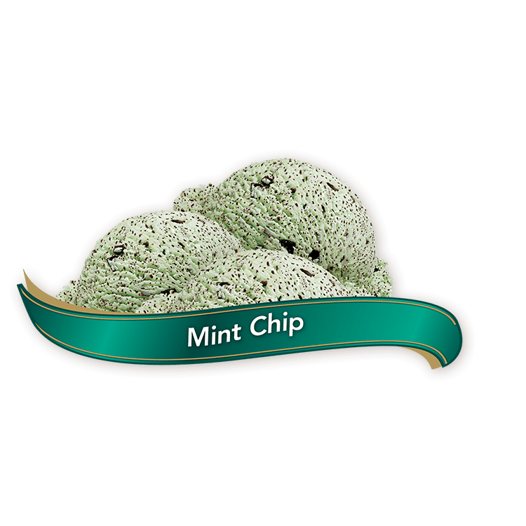 Chapman's Original Mint Chip Ice Cream