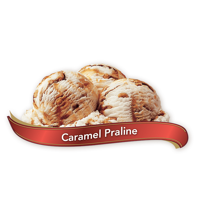Chapman's Premium Caramel Praline Ice Cream