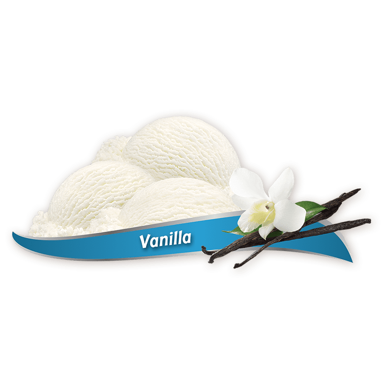 Chapman's Vanilla Frozen Yogurt