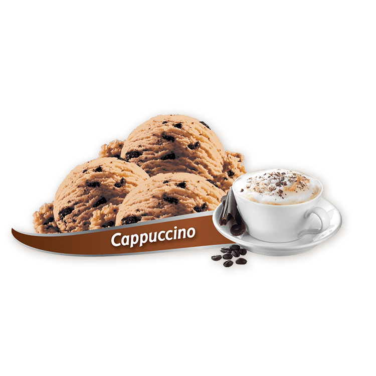 Chapman's Cappuccino Frozen Yogurt