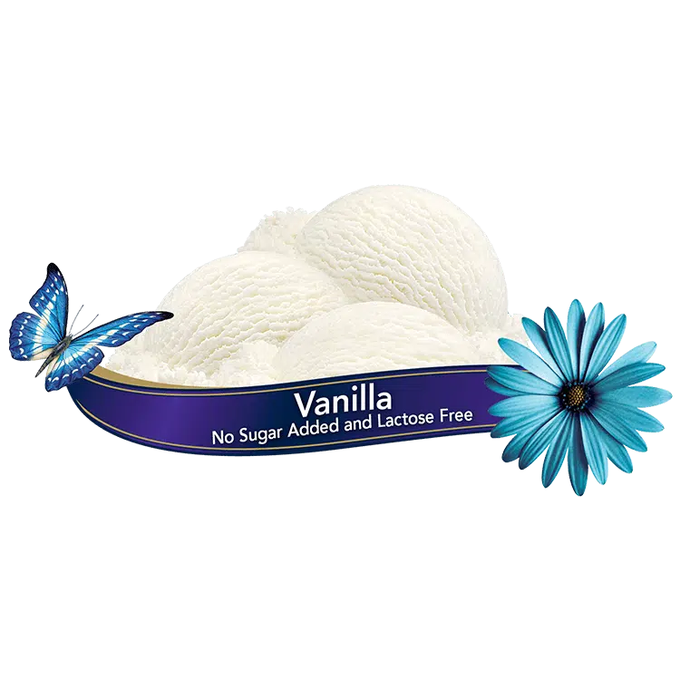 Chapman's Vanilla Ice Cream