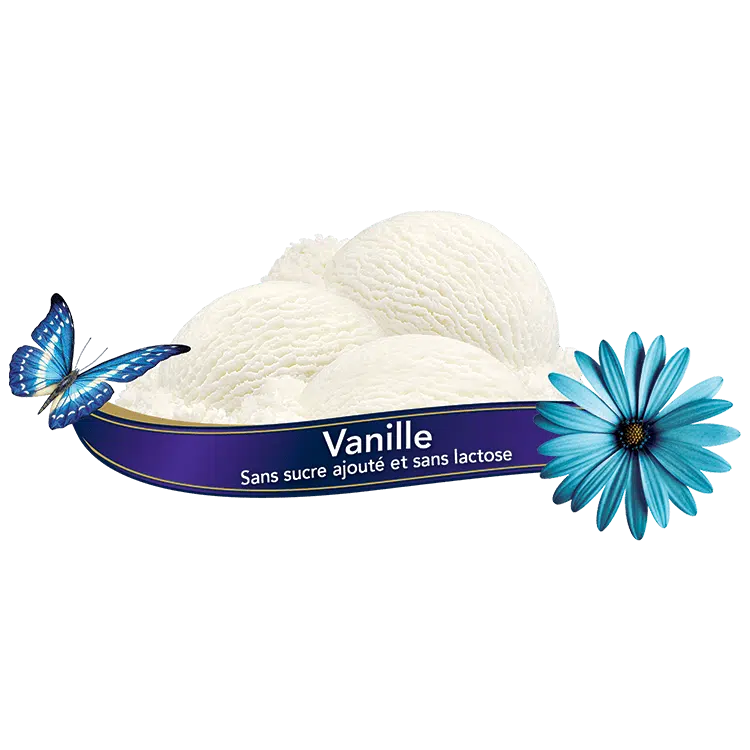 Chapman's Vanilla Ice Cream